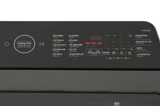 Máy giặt Samsung Inverter 9.5 kg WA95CG4545BDSV - Hình ảnh 5
