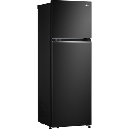 Tủ lạnh LG Inverter 266 lít GV-B262BL - Hình ảnh 2