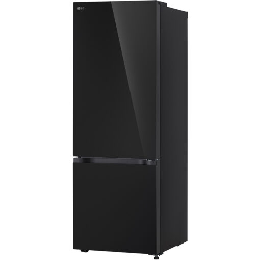 Tủ lạnh LG Inverter 335 lít LBB33BLGA - Hình ảnh 2