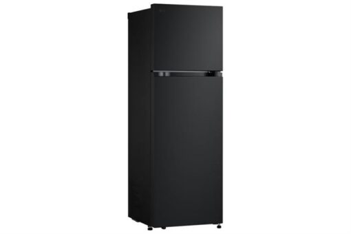 Tủ lạnh LG Inverter 266 lít LTB26BLM - Hình ảnh 3